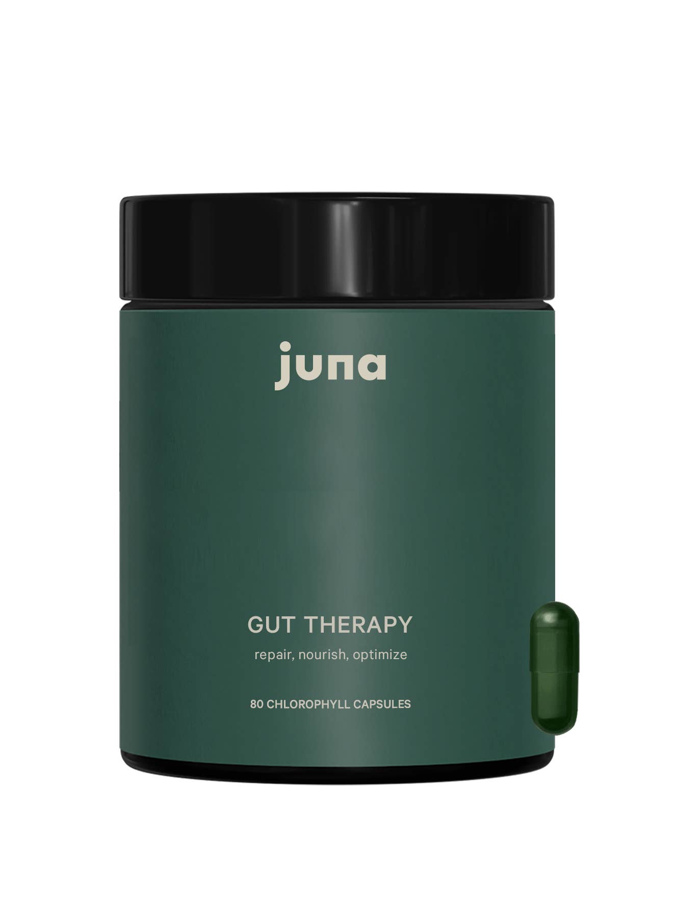 Gut Therapy