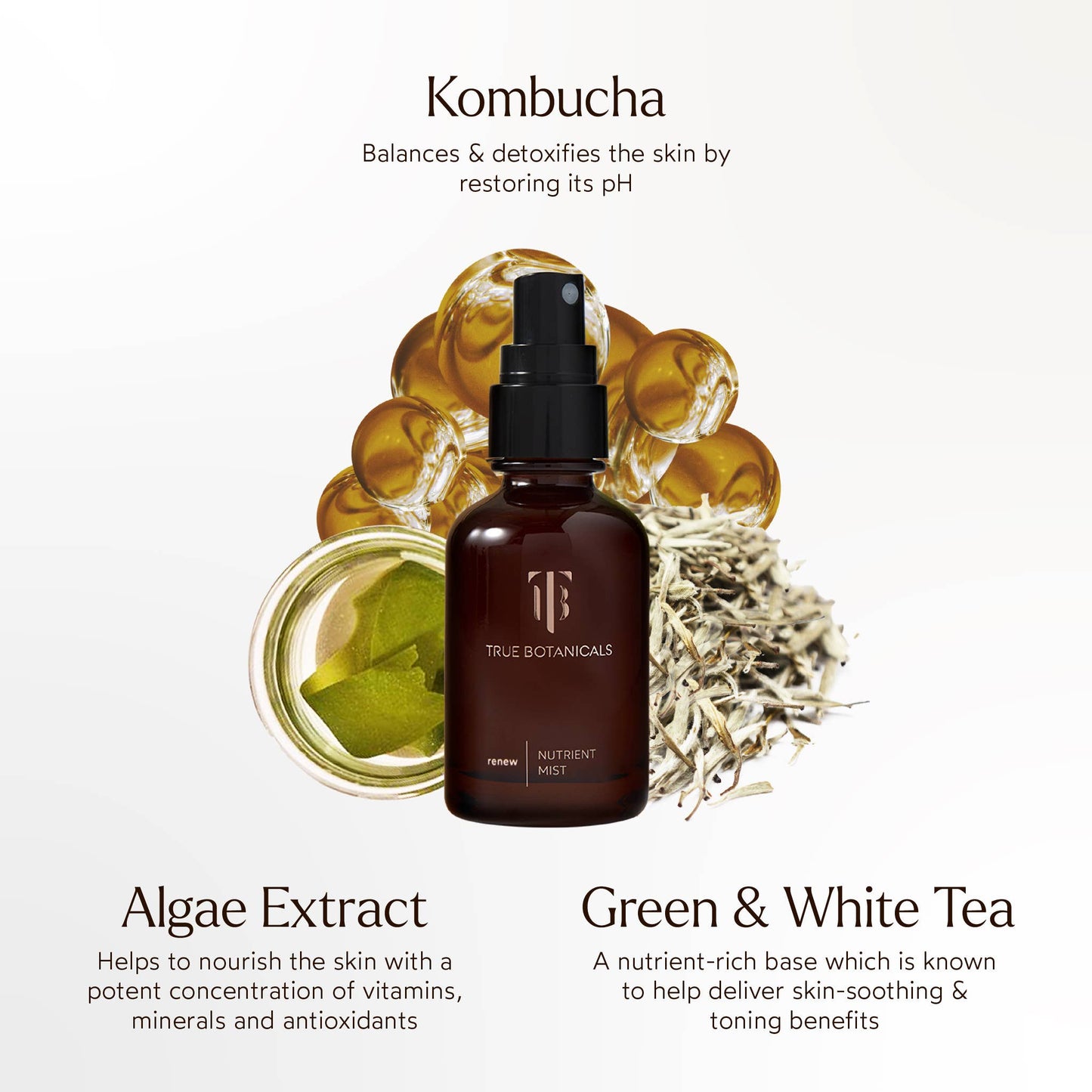 Renew Nutrient Face Mist