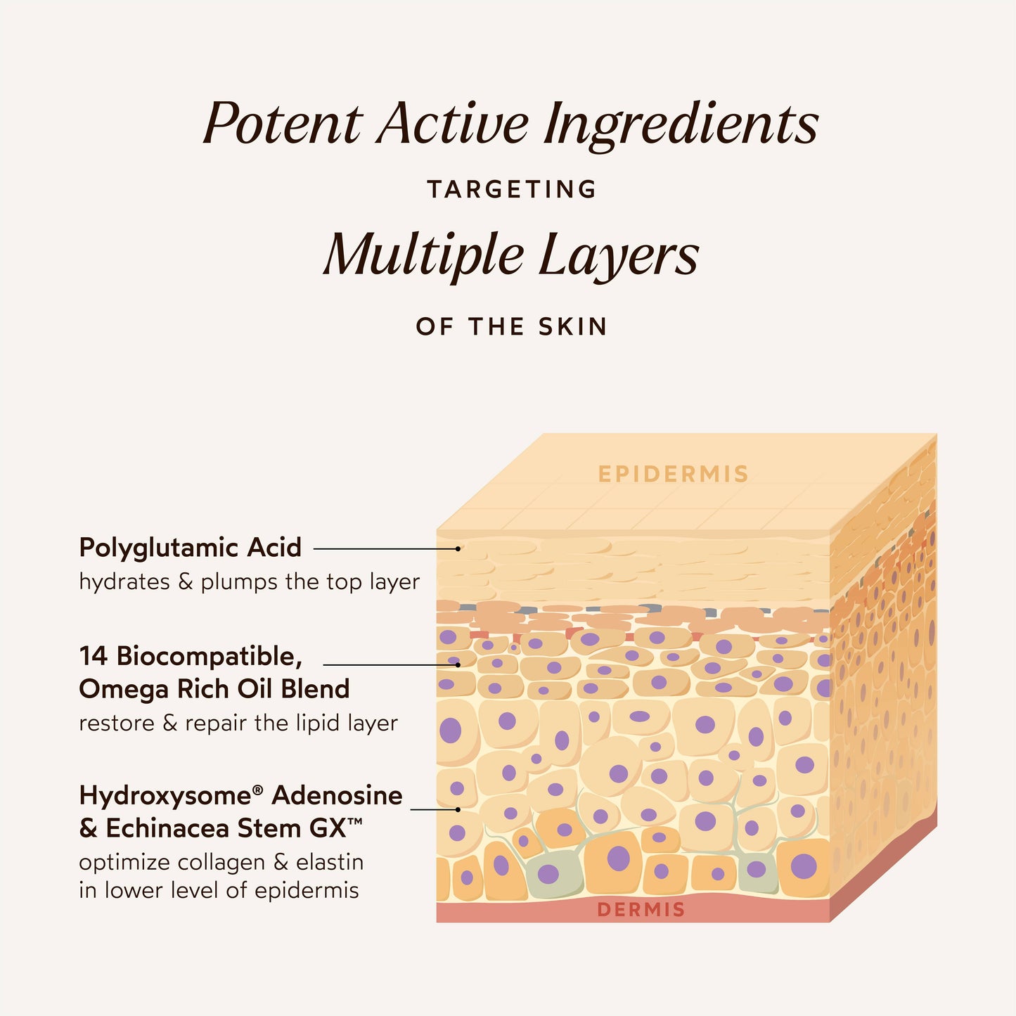 True Botanicals Pure Radiance Supreme Eye Cream