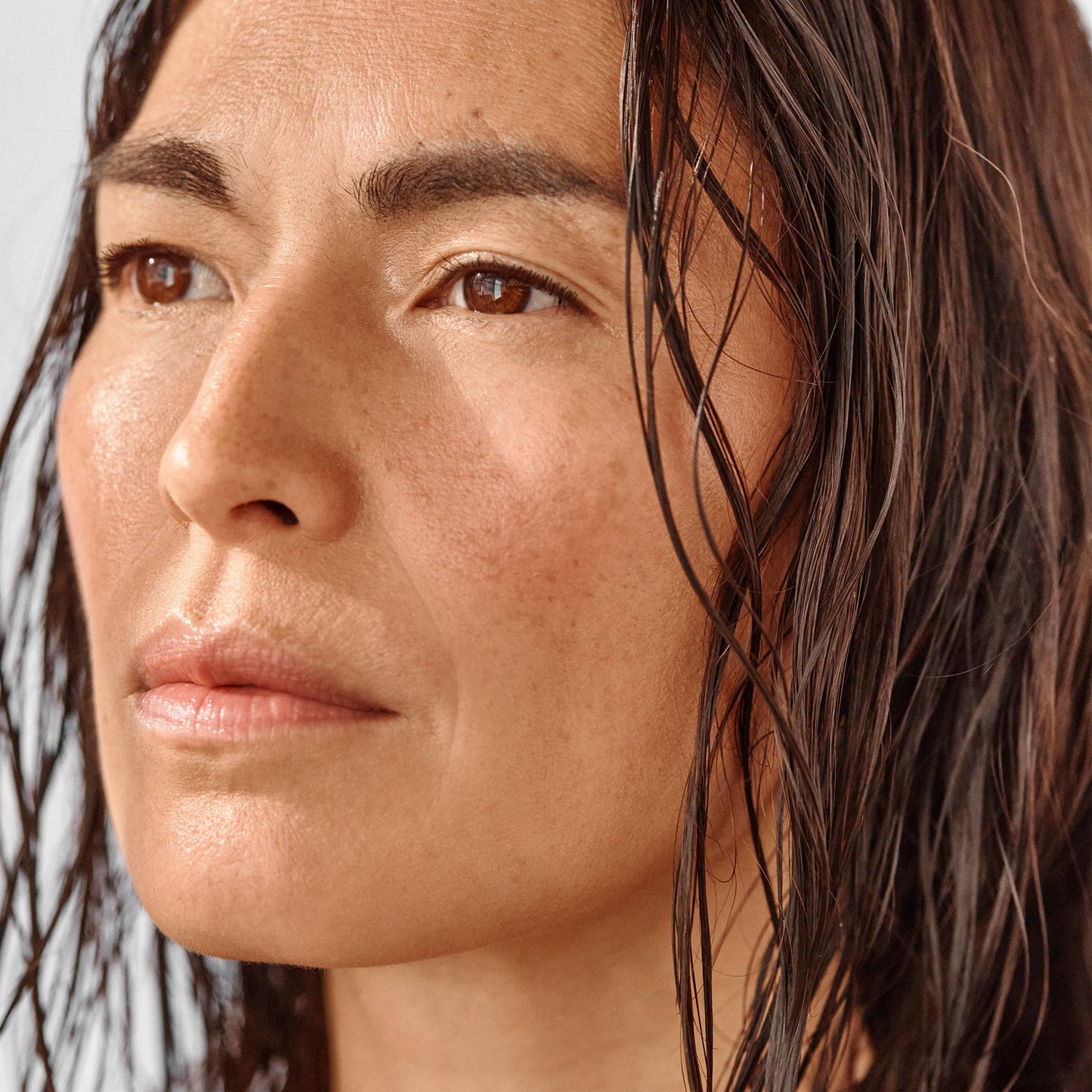 Renew Nutrient Face Mist