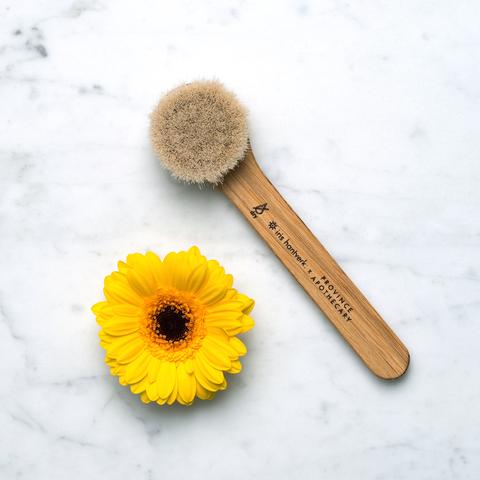 Province Apothecary Daily Glow Facial Dry Brush